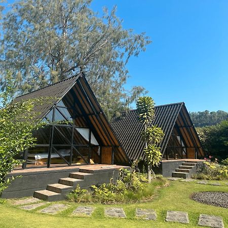 金塔马尼 Bamboo Mount Batur酒店 外观 照片